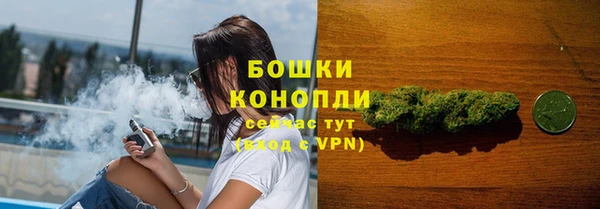 гидропоника Белокуриха