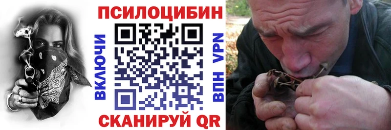 Галлюциногенные грибы прущие грибы  хочу наркоту  Краснозаводск 